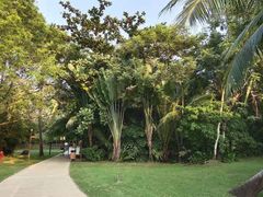 -三亚珠江南田温泉度假区