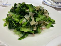 鸡毛菜百叶丝-老吉士酒家(天平路店)