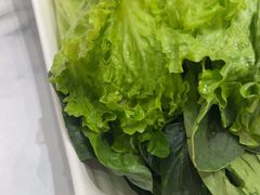 -呷哺呷哺 黄金牧场 (新辰里学清路店)