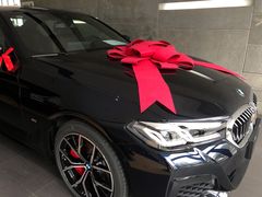 -永嘉宝诚宝马4S店(瓯北店)