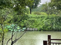 -西溪国家湿地公园