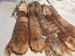 -越百海海鲜蒸锅(乐山店)