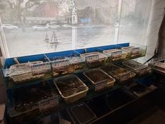 -华盛丰温州大排档(东三环南路店)