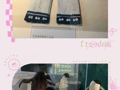 -上海中国航海博物馆