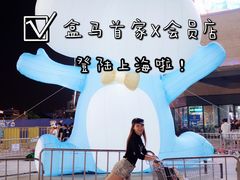 -盒马X会员店(上海森兰商都店)