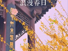 -水西公园