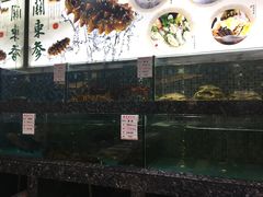 -宝燕壹号(徐汇店)