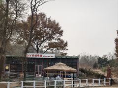 -金石滩蓝莓谷庄园