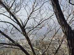 -响堂山石窟-北响堂山石窟