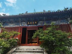 -北京上方山国家森林公园