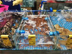水产区-阿浪海鲜连锁加工店(B栋2排1号火车头店)