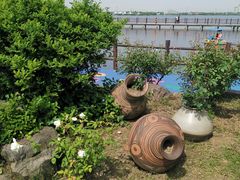 -鹅湖玫瑰文化园