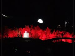 -禅宗少林·音乐大典