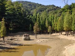 -广州市帽峰山景区