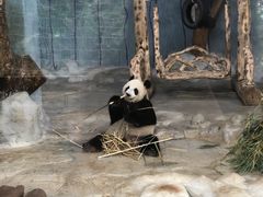 -海南热带野生动植物园