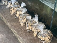 -蚝乡农庄(铁涌赤岸店)