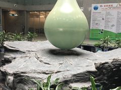 -金陵图书馆