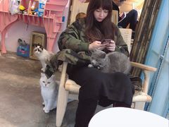 -喵屿·大理花园猫咖