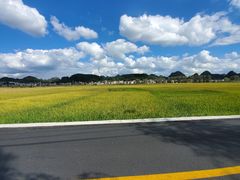 -野山舂·贵州现舂酸汤牛肉(东山店)