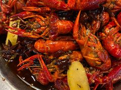 -大孩龙虾(体育场旗舰店)