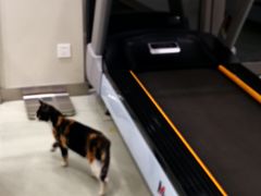 -中田健身工作室(嘉定江桥店)