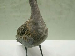 -扬州科技馆