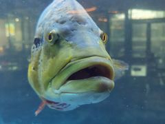 -程记私房火锅兔(总店)