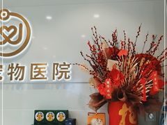 -关爱宠物医院·猫科中心·消化科(滨湖万达分院)