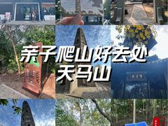 -上海佘山国家森林公园天马山园