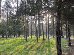 -南京市江宁方山