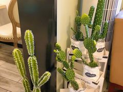 -春风·有糖(崇宁路店)