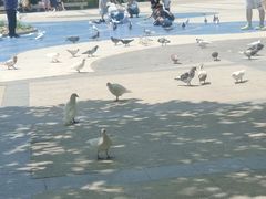 -南戴河国际娱乐中心