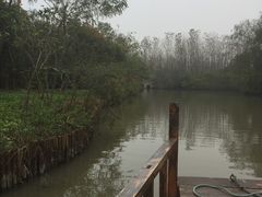 -溱湖国家湿地公园