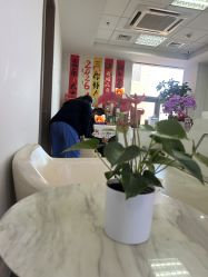 -北京爱育华医院-医疗美容科