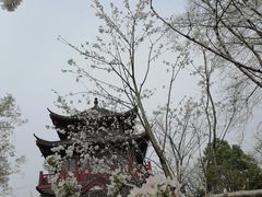 -堤角公园