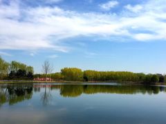 -大兴滨河森林公园