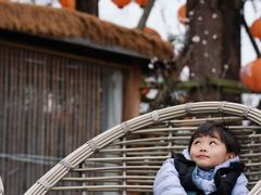 -白鹭湾湿地公园