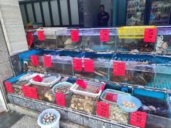 水产区-金海湾海鲜排档(朱家尖店)