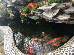 -许鲜生健康生活馆·精细潮菜(奥绅体育公园店)
