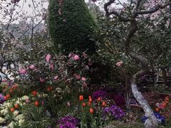 -南山植物园
