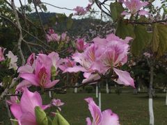 -黄龙带水库