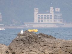 -黑石礁公园