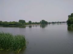 android_upload_pic-溱湖国家湿地公园