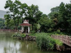 -雨湖公园