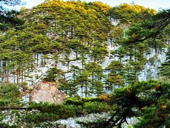 -黄山风景区