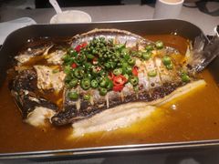 -半天妖烤鱼(诺德广场店)