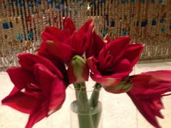 -澳门十六浦索菲特大酒店