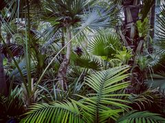 -国家植物园南园