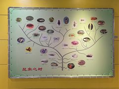 -上海昆虫博物馆