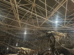 -世界恐龙谷景区